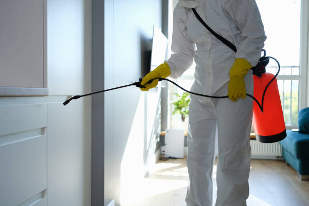 Best Crawl Space Mold Removal  in Pelahatchie, MS